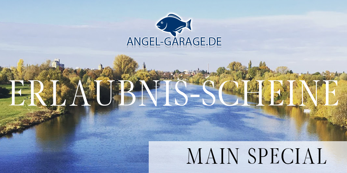 Jahreskarte Erlaubnisschein Main Hanau Steinheim Offenbach Großkrotzenburg Maintal