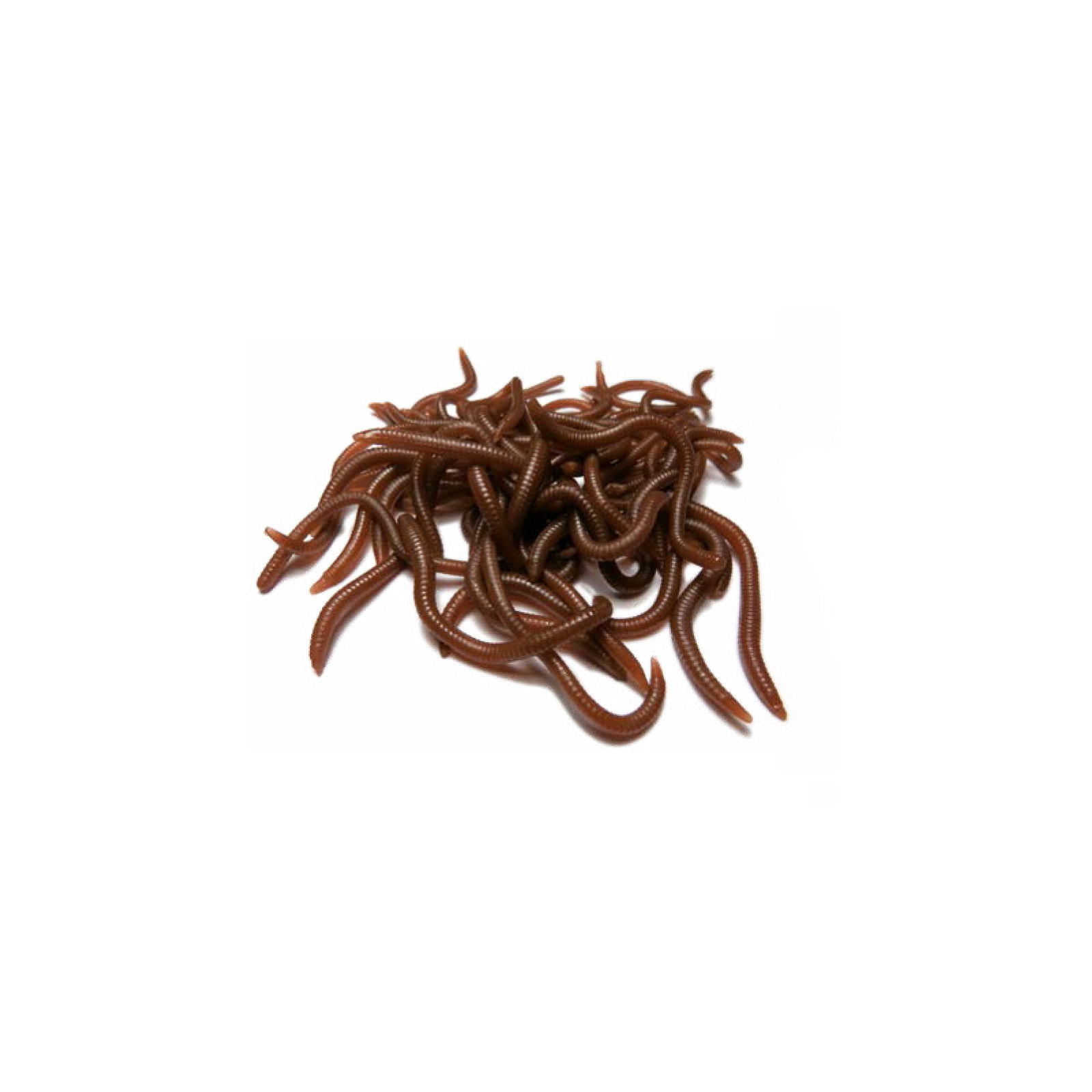 Trendex Behr Artificals 01 Regen Wurm Kunstköder mit Aroma Dose