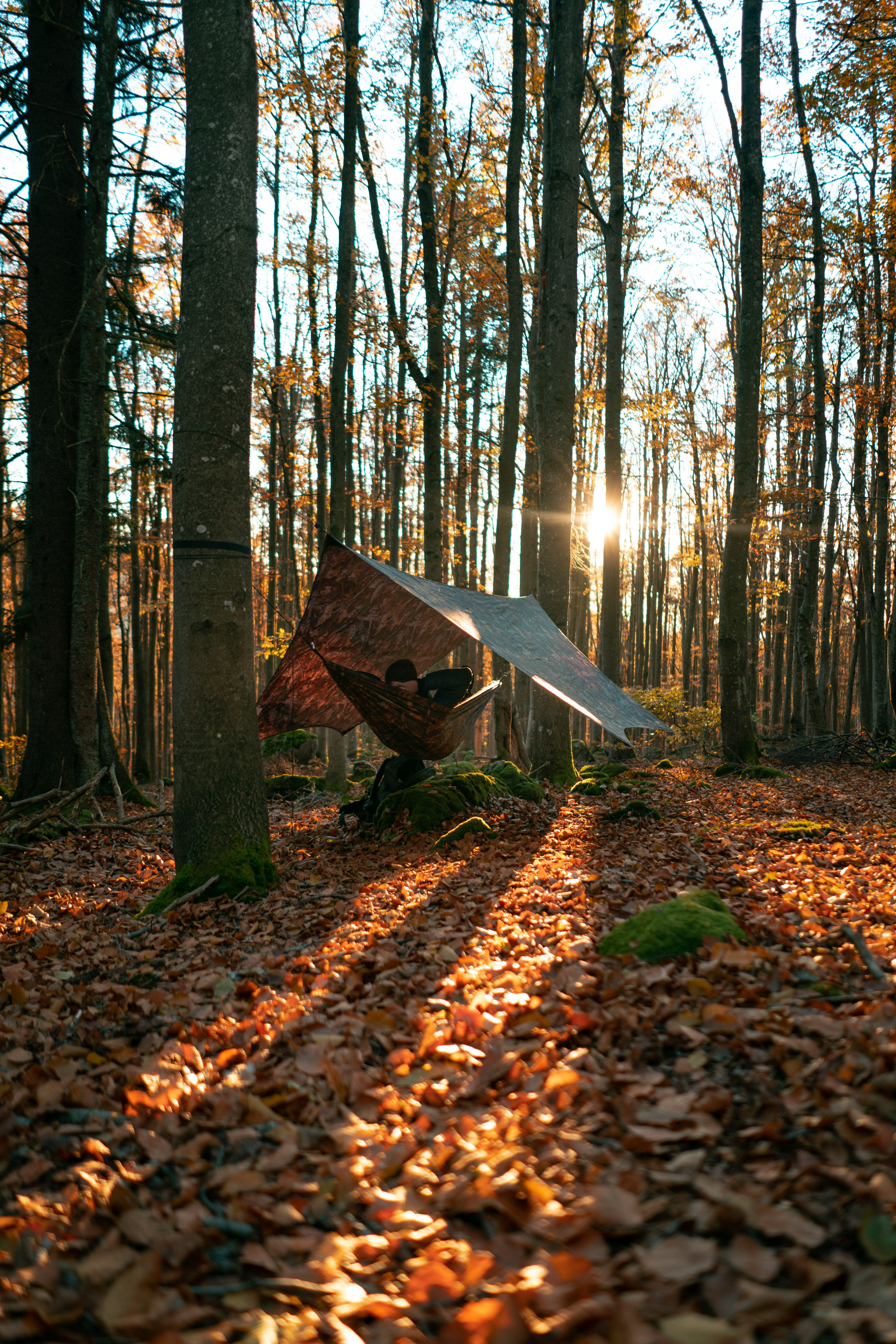Die perfekte Hängematte für Angler und Backpacker Amazonas Moskito - Traveller Forest Design
